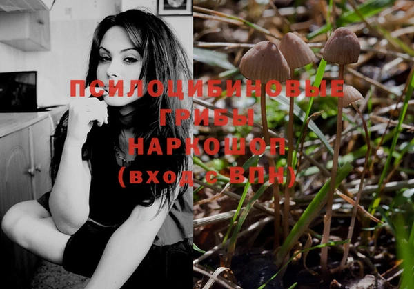 ALPHA PVP Гусиноозёрск