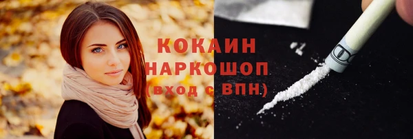jwh Гусь-Хрустальный