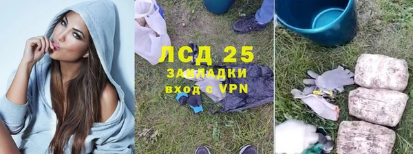 PSILOCYBIN Гусев