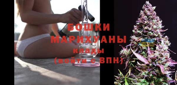 PSILOCYBIN Гусев